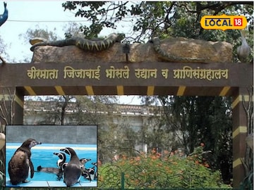 Mumbai News: बाप्पाच्या आगमनासाठी बदलली राणीच्या बागेची वेळ, कसे असतील बदल? Mumbai News: बाप्पाच्या आगमनासाठी बदलली राणीच्या बागेची वेळ, कसे असतील बदल?