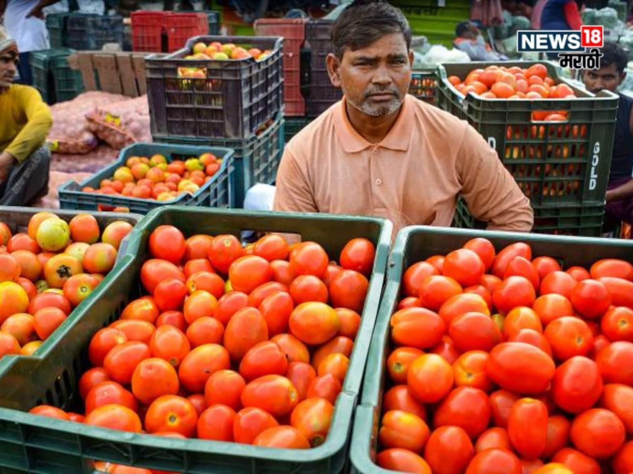 टोमॅटोला आलाय सोन्याचा भाव! बाजार समितीकडून शेतकऱ्यांसाठी मार्गदर्शक सूचना जाहीर