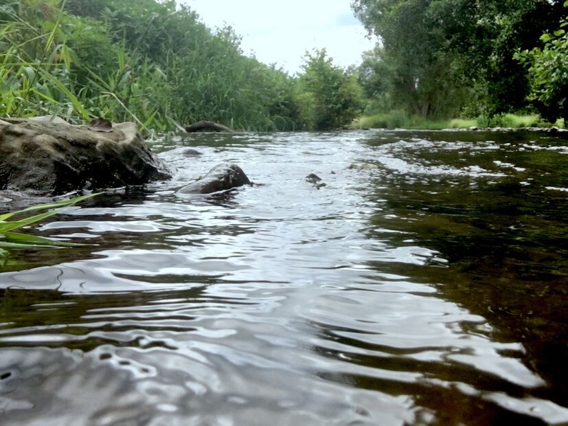 उत्तर देता आलं नाही तरी काळजी करु नका आम्ही ते जाणून घेण्यासाठी तुमची मदत करु.