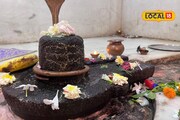 Shravan 2025: जव की जवस? श्रावणातल्या चौथ्या सोमवारी शिवामूठ कोणती? पाहा महत्त्व