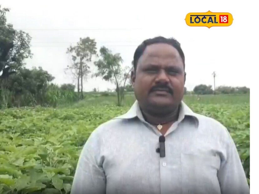 ज्ञानेश्वर हे वांग्याची तोडणी केल्यावर आठवडी बाजारामध्ये त्याची विक्री करतात. त्यासाठी ते स्वत: दुचाकीवरून आठवडी बाजारा गाठतात. वांग्याची शेती करून त्याची स्वत:चा विक्री करत असल्याने त्यांना यातून भरघोस नफा मिळत असल्याचे ज्ञानेश्वर सांगतात.