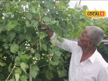 News18 News18