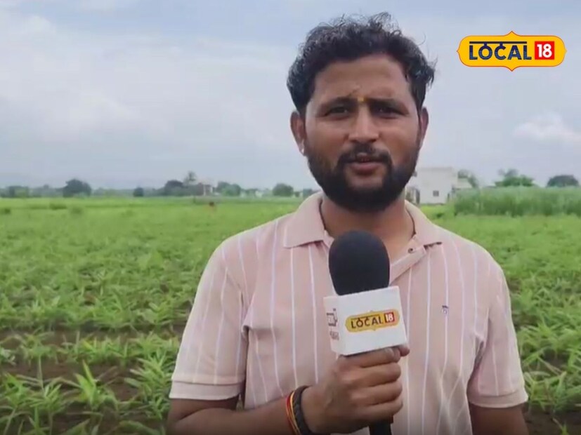  छत्रपती संभाजीनगर येथील ओहर गावातील शेतकरी अविनाश सपकाळ यांनी देखील असाच प्रयोग केला आहे. त्यांनी आपल्या दीड एकर क्षेत्रात अद्रक (आले) लागवड केली आहे. 3 लाख रुपयांचे उत्पन्न मिळेल, अशी अपेक्षा त्यांनी लोकल 18शी बोलताना व्यक्त केली.