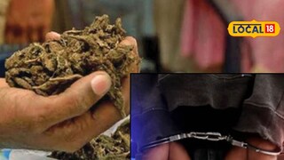 Thane Crime: ठाणे पालिसांची मोठी कारवाई, तब्बल 2,37,40,000 रुपयांचा हायब्रीड गांजा जप्त