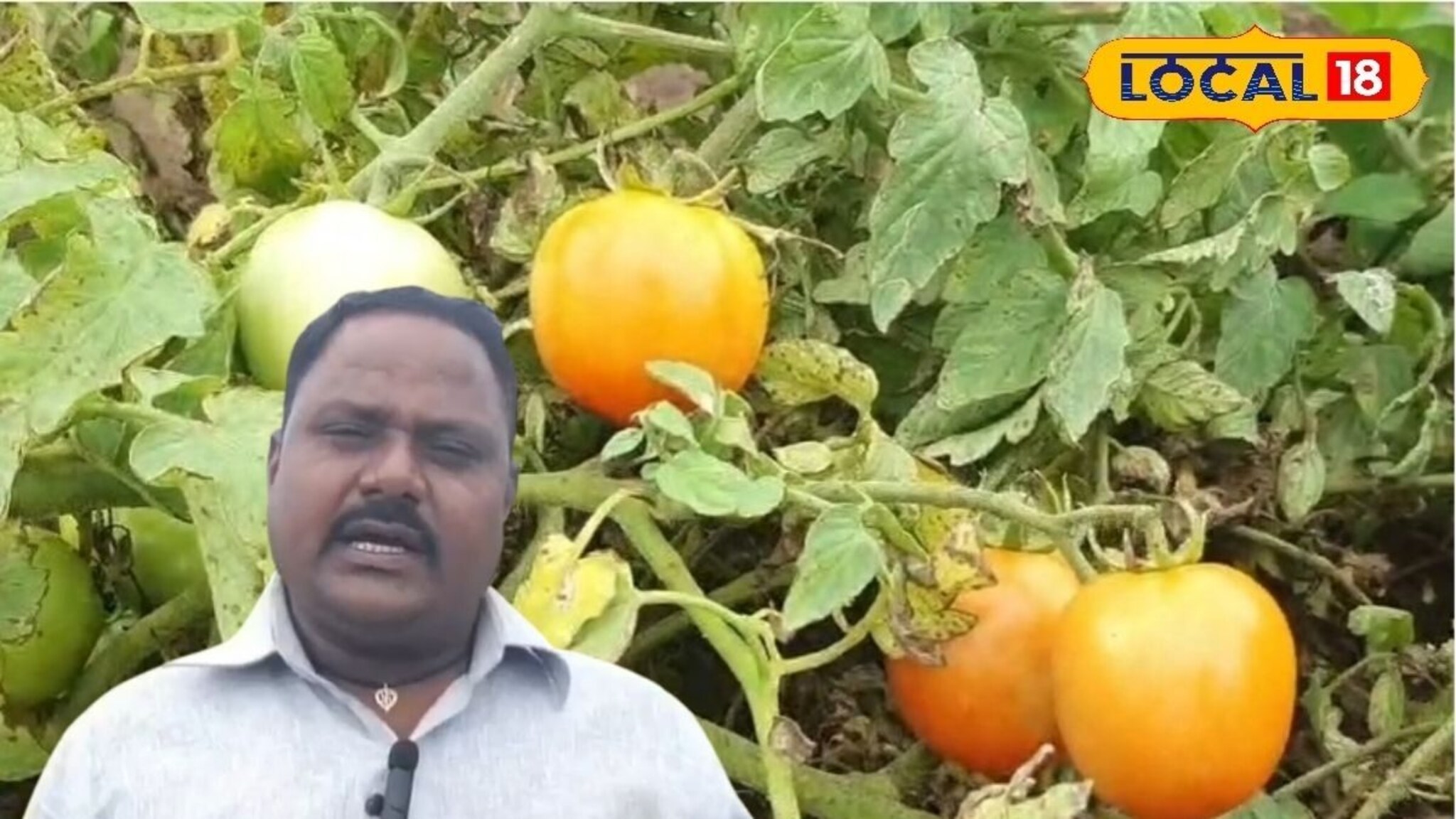 सगळे सांगत होते, नको रिस्क घेऊ; शेतकऱ्यानं डेअरिंग केलं, आता लाखोंची कमाई