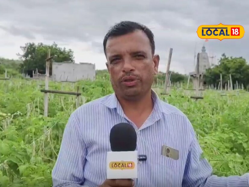  टोमॅटो शेती करताना अनेक रोगांचा प्रादुर्भाव त्यावर होतो. त्यामध्ये करपा, भुरी, टिपका या रोगांचा प्रादुर्भाव आटोक्यात आणण्यासाठी कोनिका, स्कोर कवच यासह विविध औषधांची फवारणी करण्यात येते. टोमॅटो शेतीबरोबरच जारवाल हे मोसंबी, तूर आदी पिकांचे उत्पादन घेत असल्याचे जारवाल यांनी लोकल 18 शी बोलताना सांगितले. 