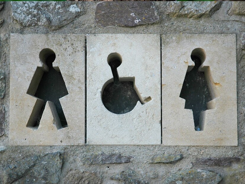 आपण अनेकदा रस्त्यावर, शॉपिंग मॉलमध्ये, सिनेमा थिएटरमध्ये किंवा कार्यालयांमध्ये सार्वजनिक शौचालयांचा वापर केला असेल. आपण अनेकदा रस्त्यावर, शॉपिंग मॉलमध्ये, सिनेमा थिएटरमध्ये किंवा कार्यालयांमध्ये सार्वजनिक शौचालयांचा वापर केला असेल.