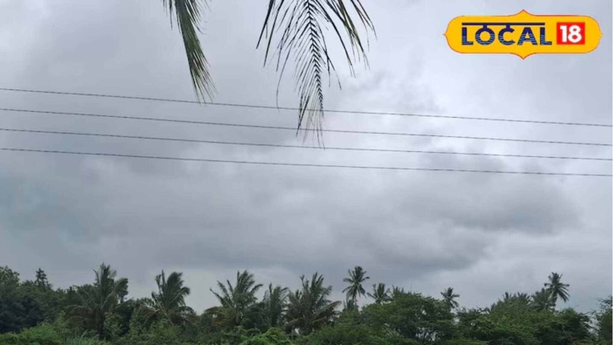 Marathwada Rain: मराठवाड्यात हवापालट! आज मुसळधार पाऊस की उघडीप, पाहा 20 ऑगस्टचा हवामान अंदाज