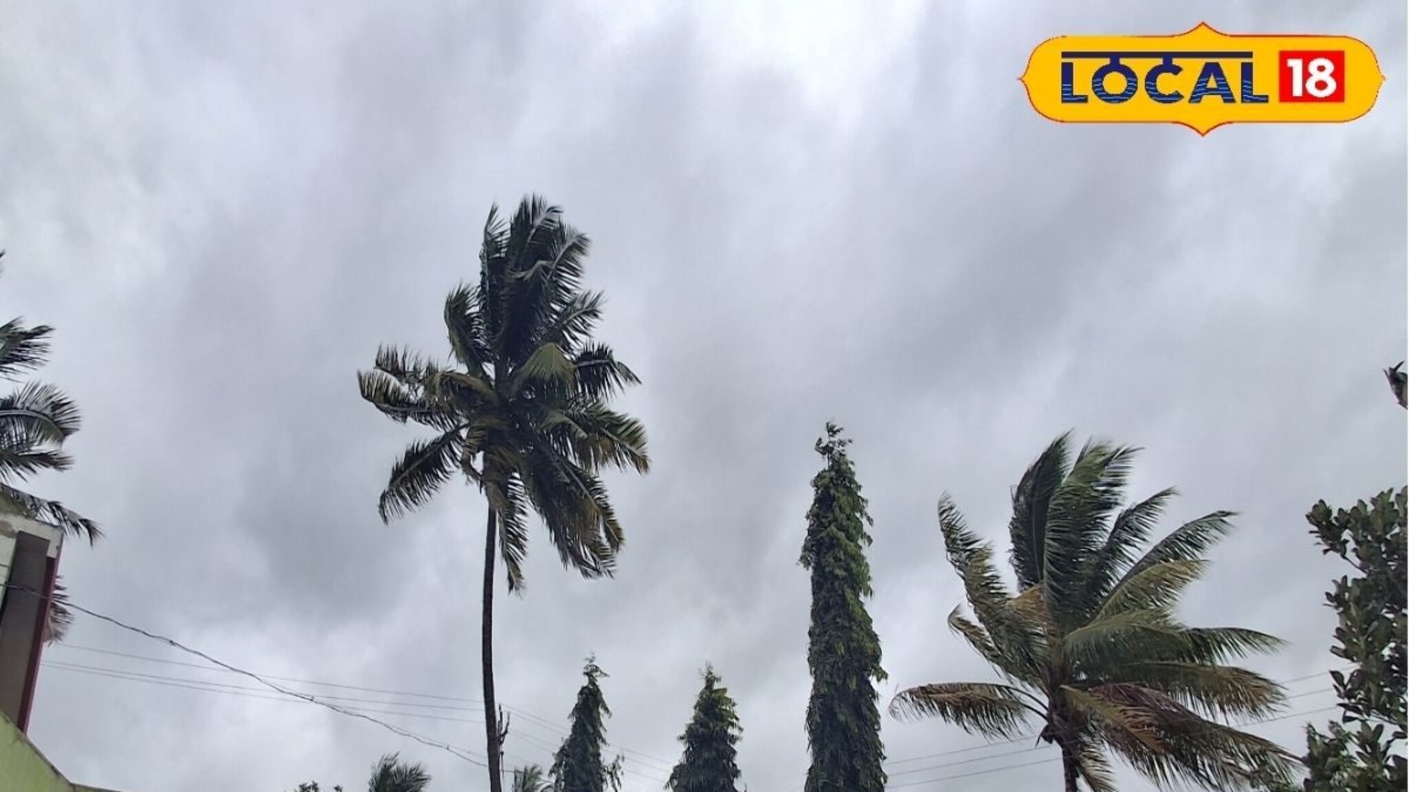 Weather Alert: वारं फिरलं, पश्चिम महाराष्ट्रात पुन्हा धो धो सुरू, या 2 जिल्ह्यांना यलो अलर्ट
