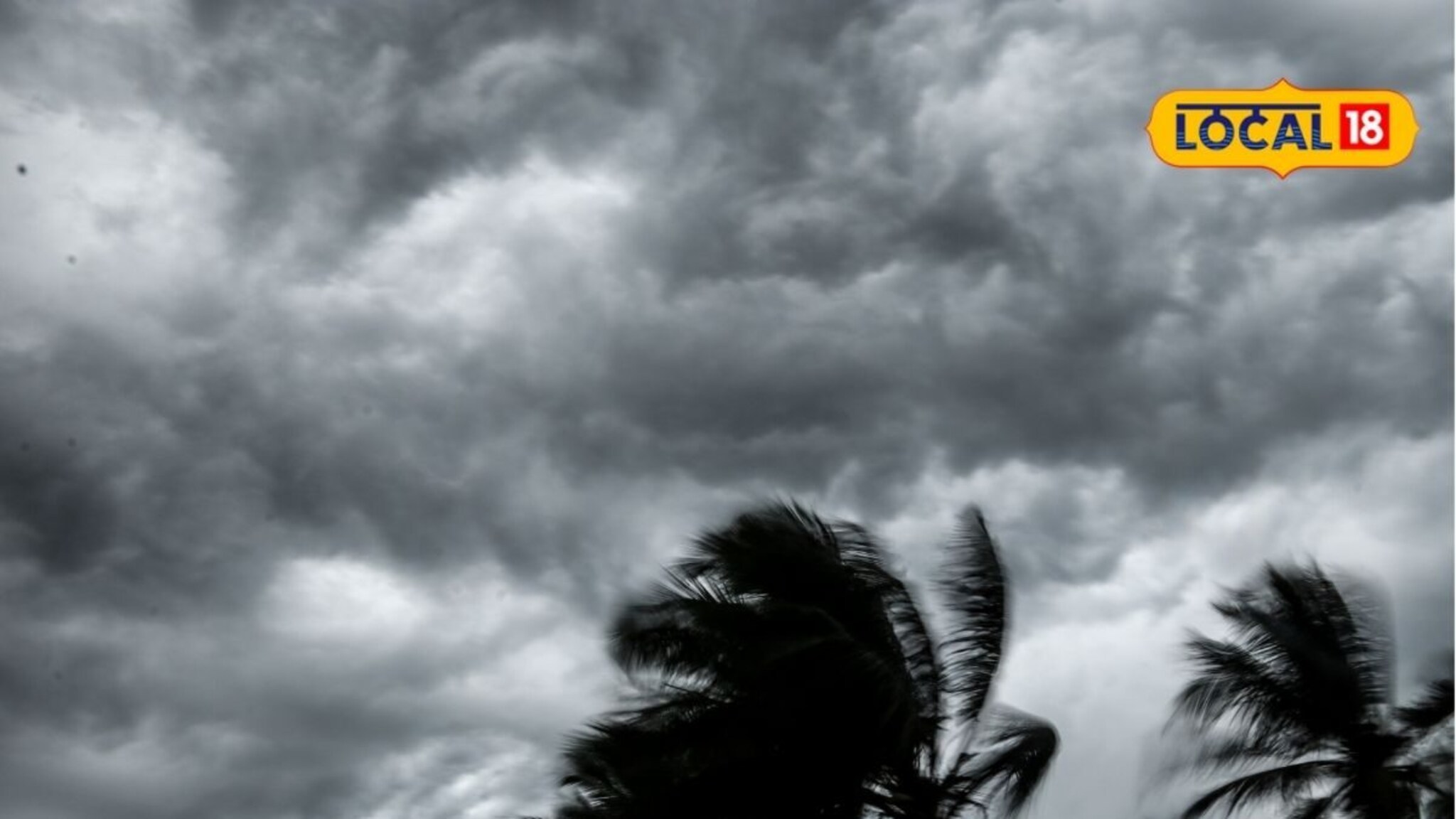 रविवारचा दिवस पावसाचा, पुणे ते कोल्हापूर धो धो कोसळणार, 24 तासांसाठी अलर्ट