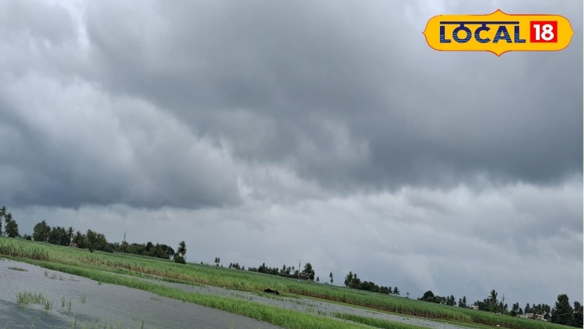 वारे वाहणार, विजा कडकडणार, पश्चिम महाराष्ट्रात पुढील 24 तास पावसाचे!