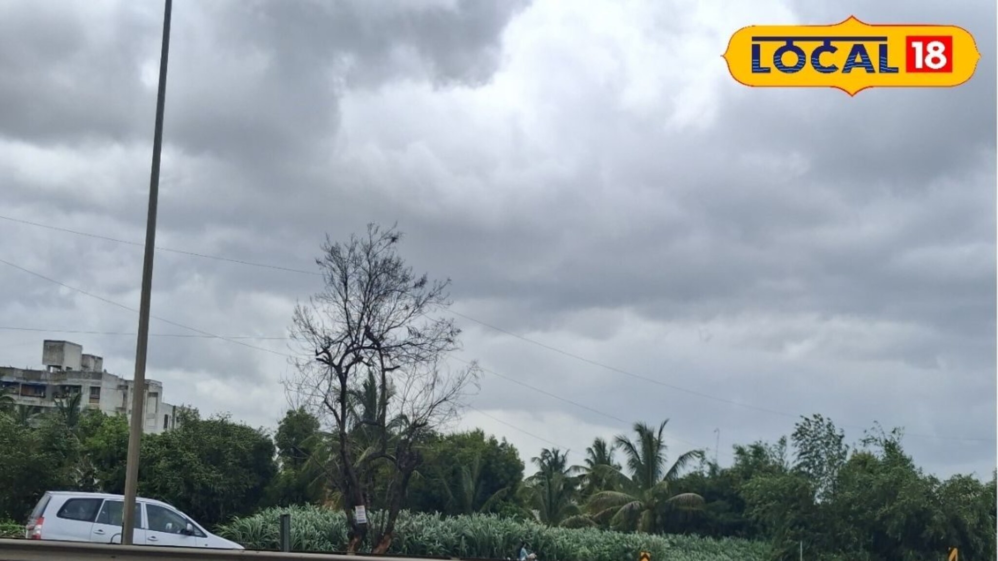 पश्चिम महाराष्ट्रात धो धो सुरू, पुणे ते कोल्हापूर 5 जिल्ह्यांना अलर्ट