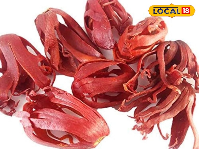 पावसाळ्यातही तुमची त्वचा निस्तेज, टॅन झालेली आणि चिकट दिसते का? तुम्ही रसायनांनी भरलेल्या सौंदर्य उत्पादनांना कंटाळला आहात का? मग तुमच्या स्वयंपाकघरात एक असा मसाला आहे, जो केवळ अन्नाची चव वाढवत नाही तर तुमची त्वचा चमकदार, मऊ आणि निरोगी बनवू शकतो. हा मसाला म्हणजे जावित्री. 