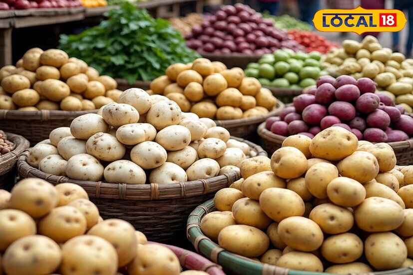 अस्वीकरण : या बातमीत दिलेली माहिती आणि आरोग्याशी संबंधित सल्ला तज्ञांशी झालेल्या संभाषणांवर आधारित आहे. ही सामान्य माहिती आहे, वैयक्तिक सल्ला नाही. म्हणून, डॉक्टरांचा सल्ला घेतल्यानंतरच काहीही वापरा. त्याच्या वापरामुळे होणाऱ्या कोणत्याही नुकसानासाठी लोकल-18 जबाबदार राहणार नाही.
