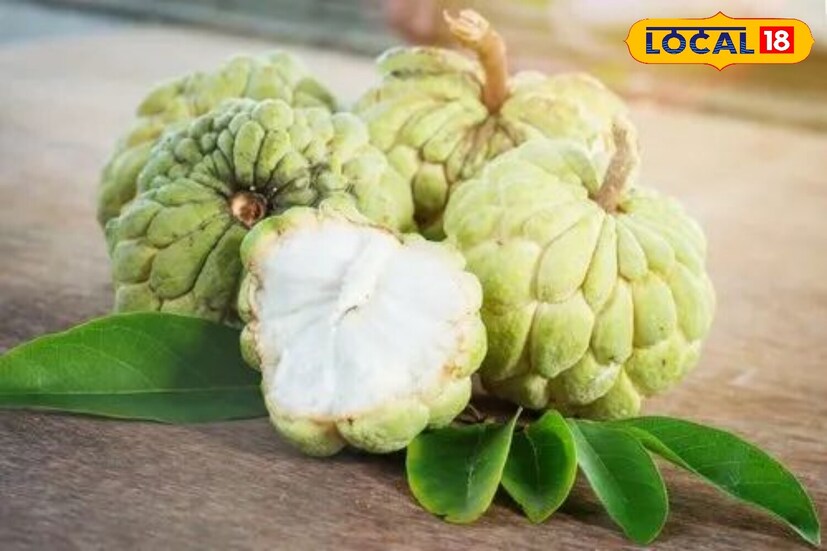 त्यांनी पुढे सांगितले की, ते खाल्ल्याने पोटाशी संबंधित आजारांपासून आराम मिळतो. दृष्टी सुधारण्यासाठी आणि डोळ्यांचे आरोग्य राखण्यासाठी देखील ते प्रभावी आहे. त्याचे नैसर्गिक उपचार गुणधर्म वेदना आणि स्नायूंचा ताण कमी करण्यास मदत करतात.