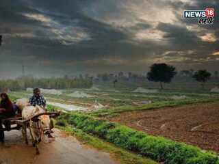 maharashtra weather update