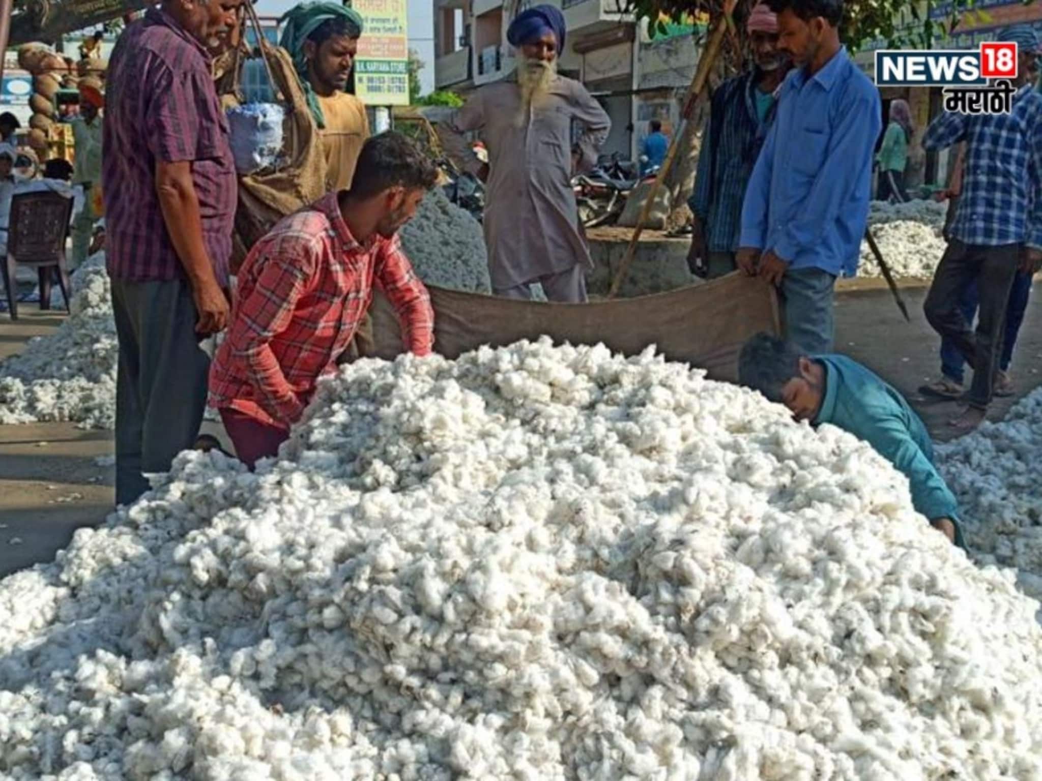 घरबसल्या कापूस विक्रीसाठी कपास किसान अॅपवर नोंदणी कशी करायची?