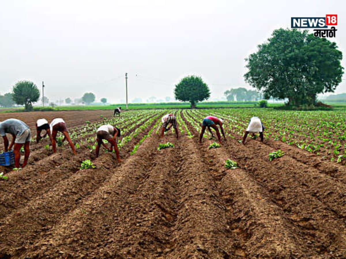 recent agriculture news