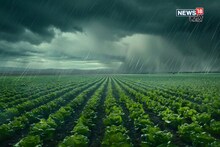 पाऊस शेतकऱ्यांचे टेन्शन वाढवणार! या जिल्ह्यांना IMD चा इशारा, काय काळजी घ्याल?