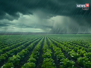 maharashtra weather upate 