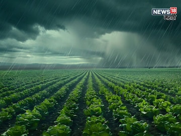 maharashtra weather upate 