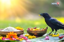 घरात मुलगा नसून मुलगी आहे,अशावेळेस पितृपक्षात पुर्वजांचे श्राद्ध कोणी घालायचे?