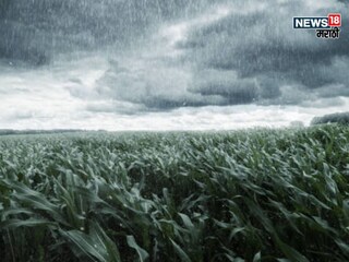 Maharashtra Weather Update  Maharashtra Weather Update