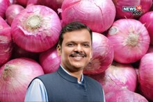 कांदा प्रश्नांवर तोडगा निघणार? शेतकरी अडचणीत, मुख्यमंत्री फडणवीसांनी दिलं आश्वासन