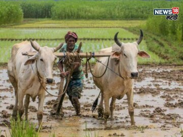 Maharashtra Weather Update 