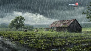 Maharashtra Weather Update 