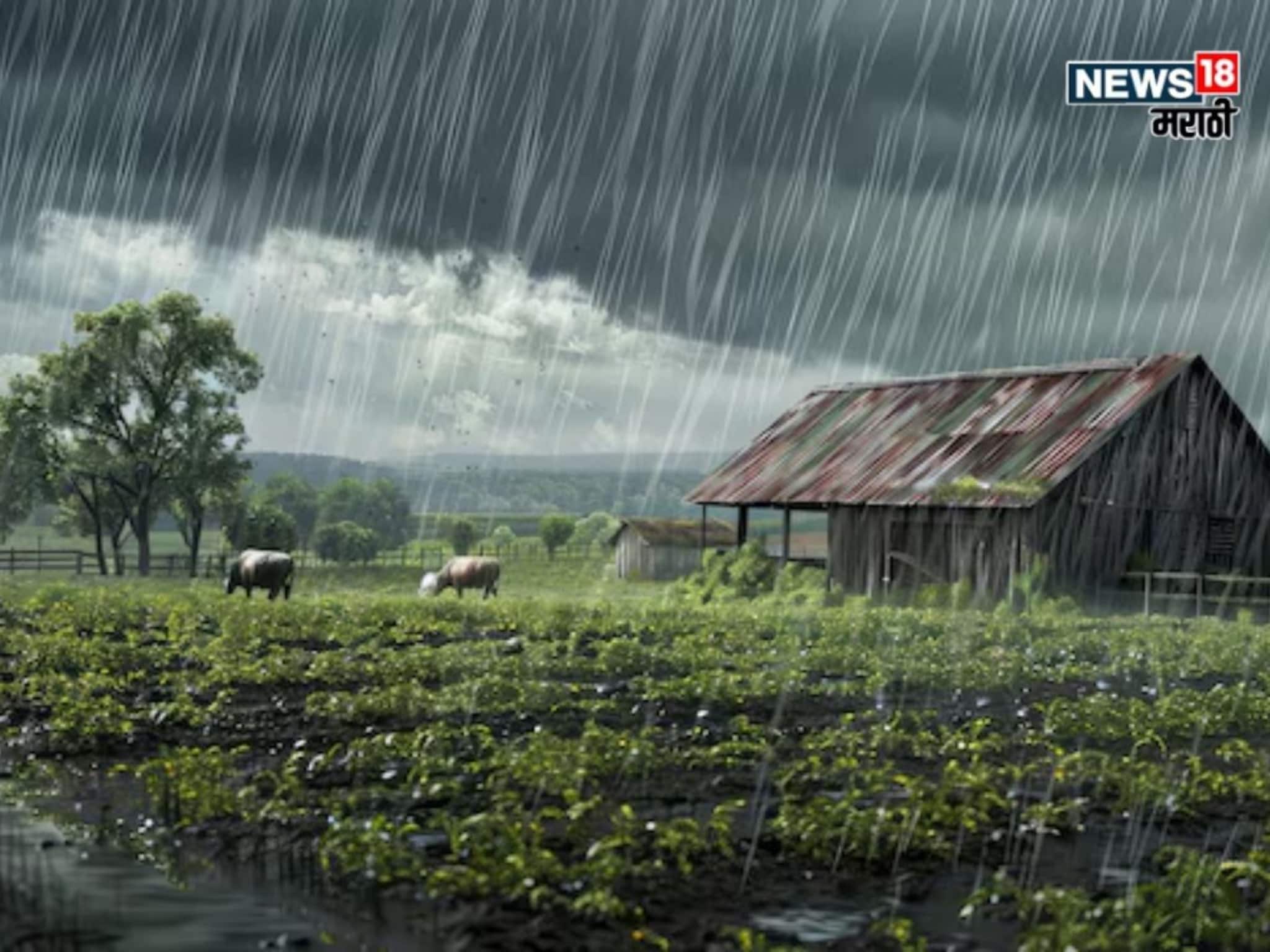 कृषी हवामान : शेतकऱ्यांवर मोठं संकट! जोरदार वाऱ्यासह पाऊस प्रचंड झोडपणार, 19 जिल्ह्यांना अलर्ट, उपाययोजना काय कराल?