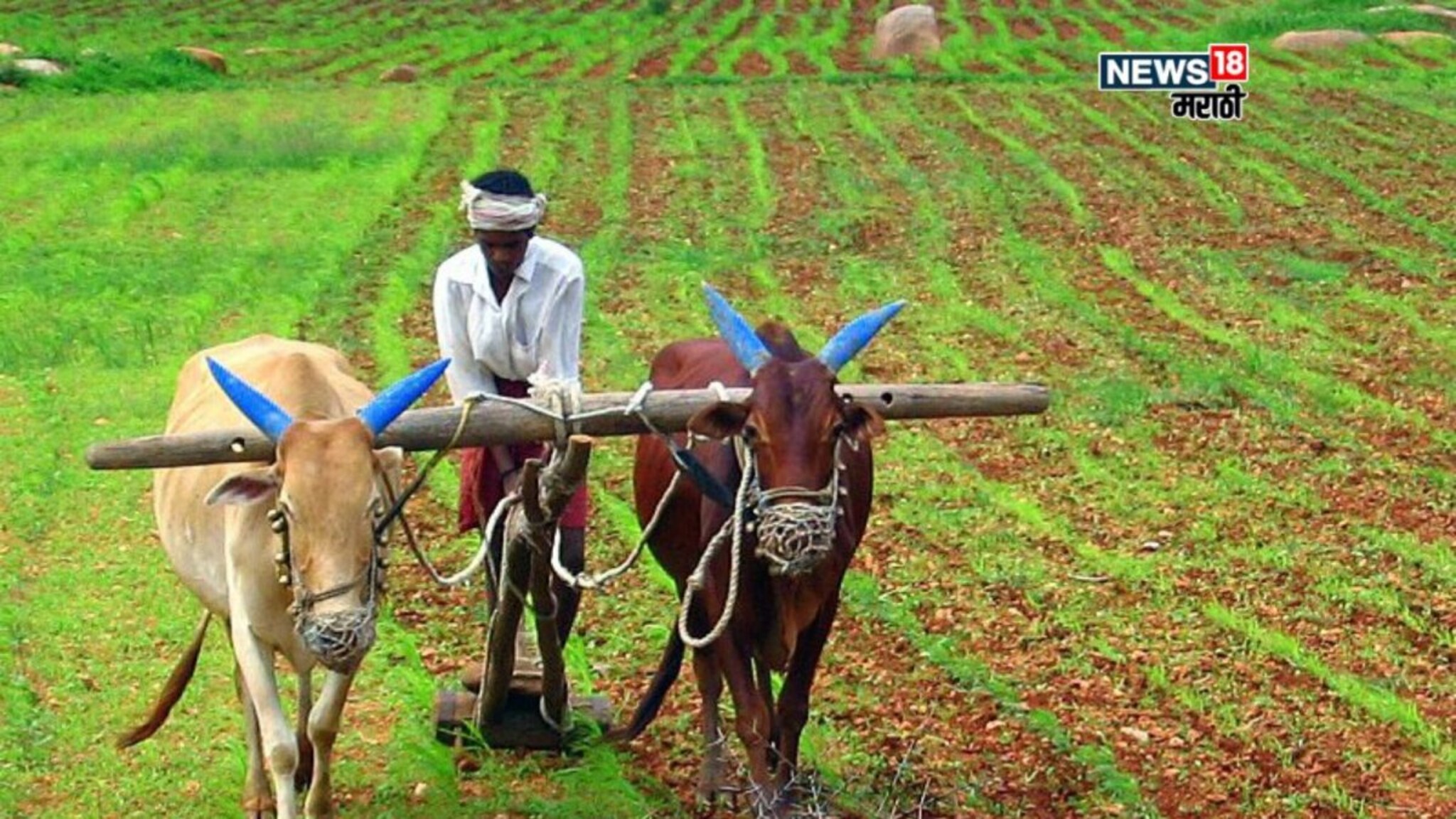17 सप्टेंबरपासून शेतकऱ्यांसाठी महसूल विभागाची विशेष मोहीम, हे कामे पूर्ण होणार