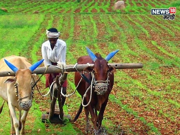 agriculture news 