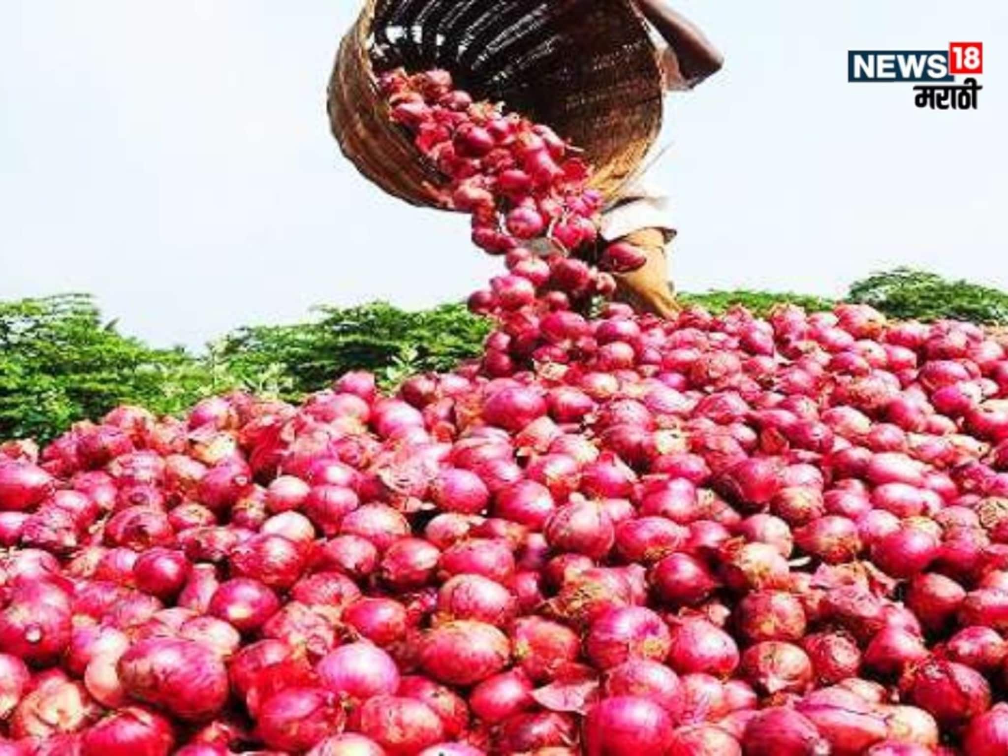 कांदा अनुदान दुप्पट होणार? राज्य सरकारच्या बैठकीतील 5 महत्वाचे निर्णय
