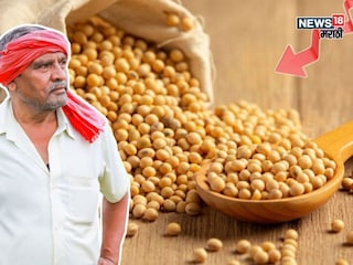 Agriculture News 