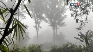 Maharashtra weather update 