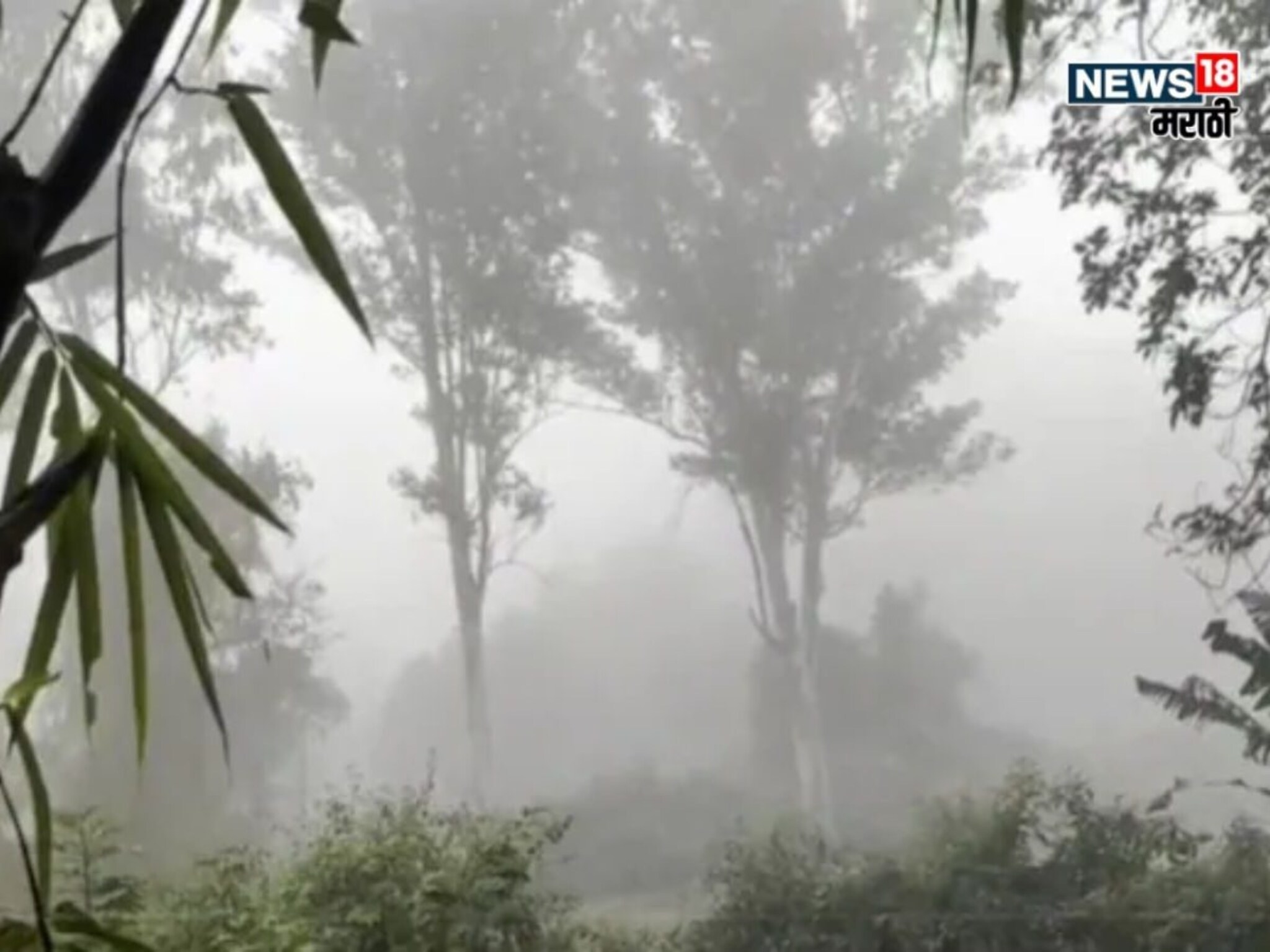 आधी पावसानं झोडपलं आता हिवाळ्यात मोठं संकट, हवामान विभागाने दिली मोठी अपडेट