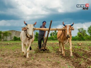 Agriculture News 