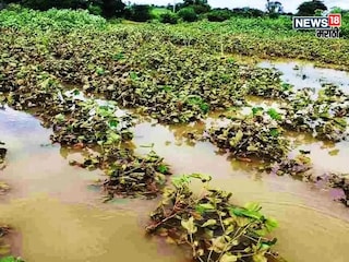 Maharashtra Weather Update Maharashtra Weather Update
