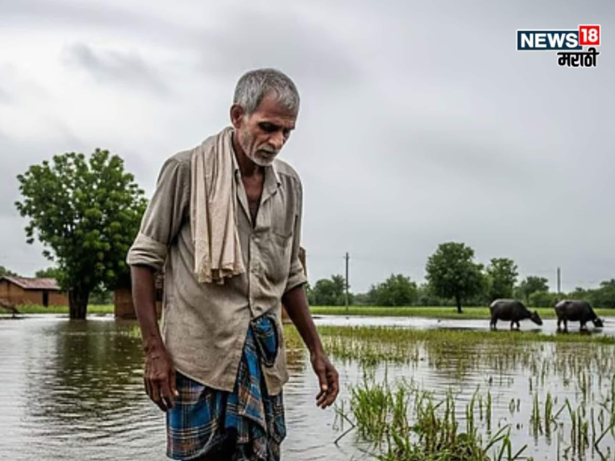 सरकारकडून हजारो कोटींचे पॅकेज जाहीर पण शेतकऱ्यांना हेक्टरी किती मदत मिळणार?
