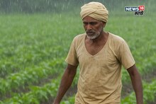 पावसाकडून पुन्हा शेतकऱ्यांची परीक्षा, धुमाकूळ घालणार, या २६ जिल्ह्यांना हायअलर्ट