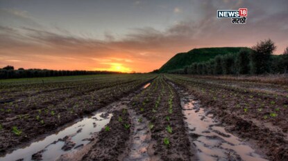 agriculture news agriculture news