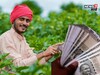 ३ राज्यातील शेतकऱ्यांच्या खात्यात पीएम किसानचे २,००० रु जमा, महाराष्ट्राला कधी?