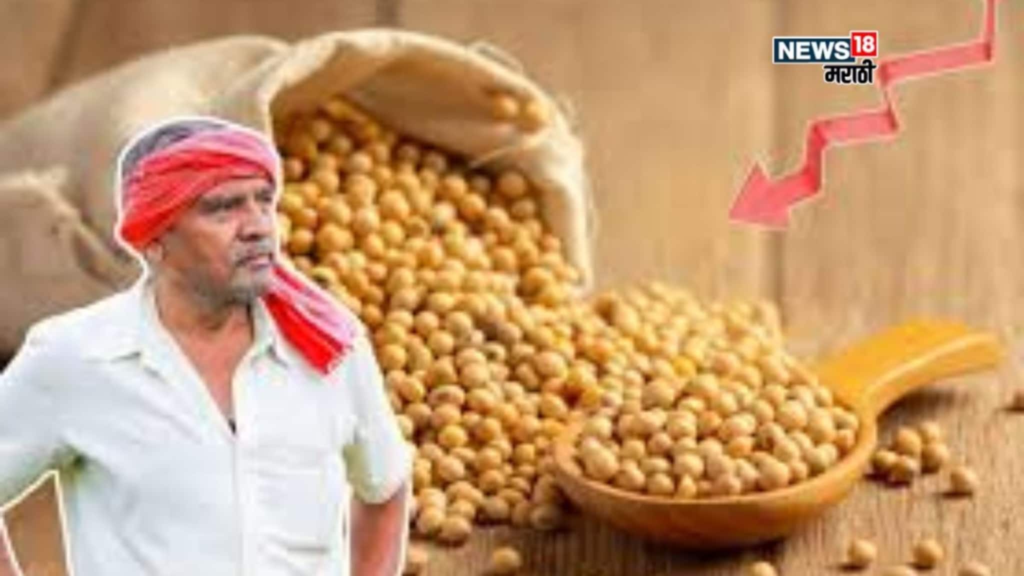 नवीन सोयाबीन बाजारात येण्यास सुरुवात! किती मिळतोय बाजारभाव? दर वाढणार का?