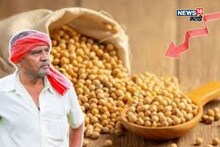 नवीन सोयाबीन बाजारात येण्यास सुरुवात! किती मिळतोय बाजारभाव? दर वाढणार का?
