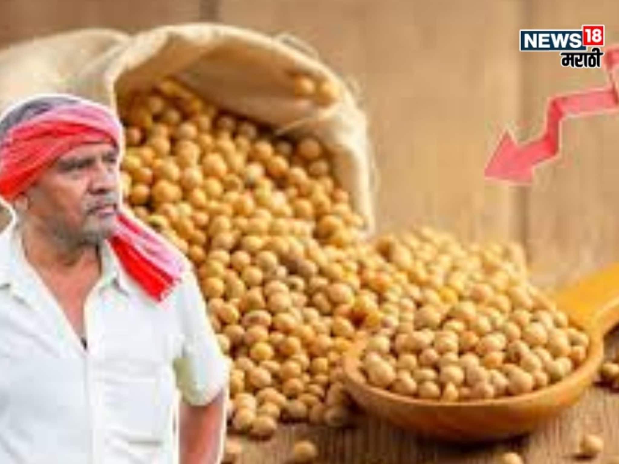 नवीन सोयाबीन बाजारात येण्यास सुरुवात! किती मिळतोय बाजारभाव? दर वाढणार का?