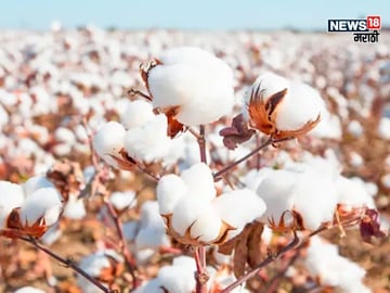 Agriculture News