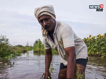 agriculture news 