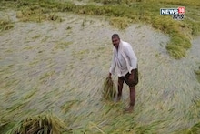 पिकांचे पंचनामे किती तारखेपर्यंत पूर्ण होणार? शेतकऱ्यांना पैसे कधी मिळणार? मंत्री बावनकुळेंनी दिली माहिती