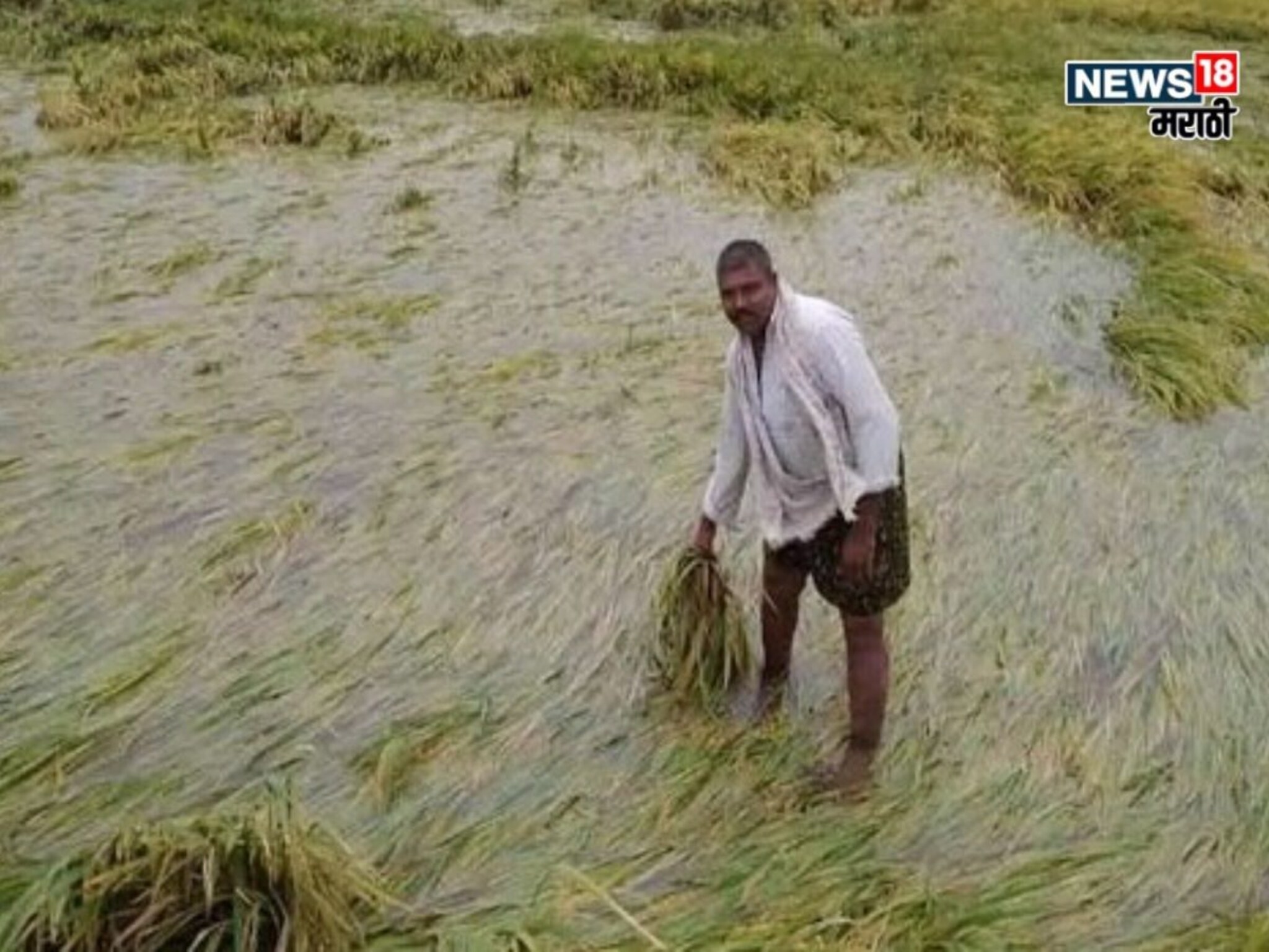 पिकांचे पंचनामे किती तारखेपर्यंत पूर्ण होणार? पैसे कधी मिळणार? वाचा अपडेट